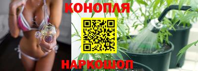 ешки Будённовск