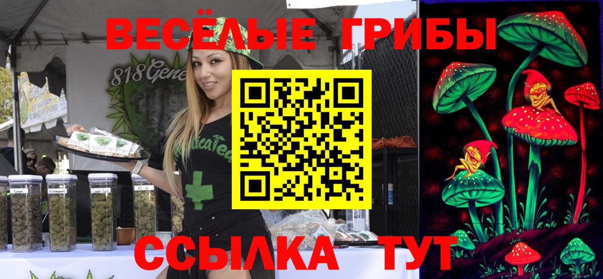 Углич  Галлюциногенные грибы Psilocybine cubensis  Вход с VPN  Галлюциногенные грибы Psilocybe 